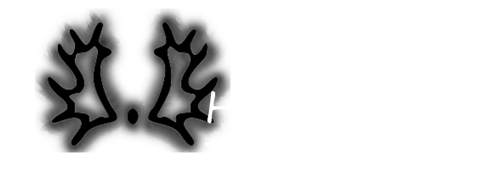 Hirschwald Trakehner